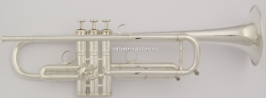 Anteprima
